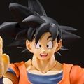S.H.Figuarts 孙悟空-在地球成长的赛亚人-
