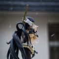 雪中斑鸠
