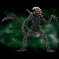 Super Special 系列 Alien: Resurrection Alien Warrior