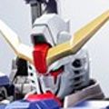 METAL BUILD 机动战士高达SEED Destiny ZGMF-X42S 命运高达