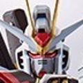 METAL ROBOT魂 机动战士高达SEED Destiny ZGMF-X20A 强袭自由高达