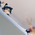 黑猫 日服 表情大赞