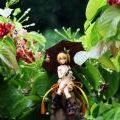 乱红如雨