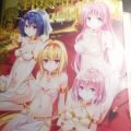 ToLoveRu Darkness Harem Gold画集