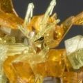 HGBD 高达创形者 GN-0000DVR Gundam 00 潜行者 金色闪耀彩透版