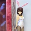 freeing 兔女郎 加藤惠
