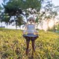 夏日·树林露出