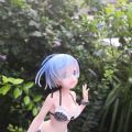 夏天的风 正暖暖吹过
