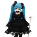 PureNeemo Rose Queen 