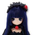 PureNeemo Secret Wonderland 