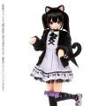 PureNeemo Azone Direct Store 