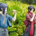 刀剑乱舞加州清光大和守安定