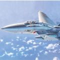 1/72 F-15J 鹰式(Otsu Line)“航空自卫队” 涂装