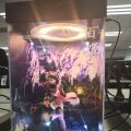 胧村正 百姫
