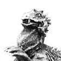 怪兽总进击 Varan