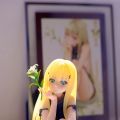 新机试拍