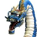  KT Project 004 龙 Chakuirodori-length version