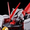 MG  机动战士高达SEED DESTINY ASTRAY R 异端高达红色机(翔翼型装备)