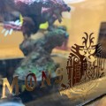 19年4月再版雄火龙