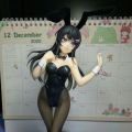 麻衣兔