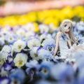 alter 面码