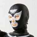 S.H.Figuarts   修卡战斗员（骨纹）