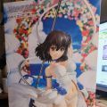 姬冬雪菜  常夏花嫁