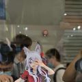 wf展台上拍的