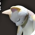 尽情燃烧自己生命后的猫猫