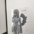gsc wonderful hobby实拍杂图4