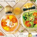 精灵宝可梦 小手办EX 伽勒尔地区篇