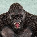 UA Monsters 哥斯拉大战金刚(2021) 金刚
