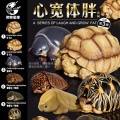 心宽体胖
