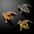 高级生物大图鉴系列 斑纹 与 蜥蜴 3种套装