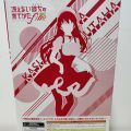 aniplex 霞之丘诗羽 女仆ver
