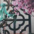 韶华这脸真好看
