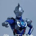 泽塔原生shf