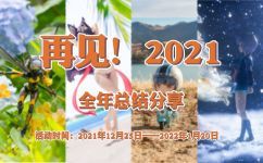 再见！2021——全年总结分享！