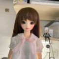 Volks sd 通贩 Nico