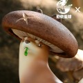 果物精灵 香菇鼬