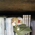 FuRyu西莉卡