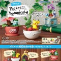 精灵宝可梦 宝可梦 Pocket Botanical