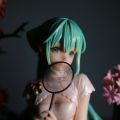 韶华初音 实拍