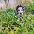 莫西莫西～
蝴蝶🦋