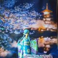 随拍留念