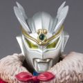 S.H.Figuarts  悟空战袍·赛罗奥特曼