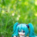 二十四节气葱葱摄影