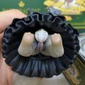 鸡鸡猫