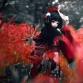 tinyfox 鲤见