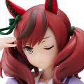 赛马娘 优秀素质